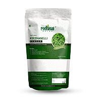 Keezhanelli / Country Gooseberry Powder