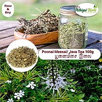 Poonai Meesai / Java Tea