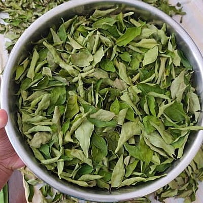 Veppilai / Neem Leaves Dried (Raw)