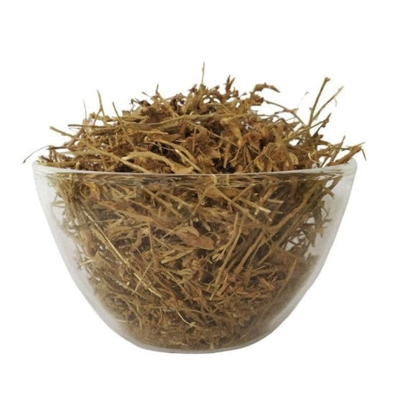 Vishnu Kiranthi / Slender Dwarf Morning-Glory 100G Vishnu Kiranthi / Slender Dwarf Morning-Glory 100G
