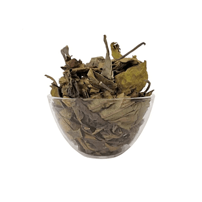 Aada Thodai Leaf Dried( Raw) / Malabar Nut Powder /ஆடாதோடை இலை உலர்ந்தது 100g