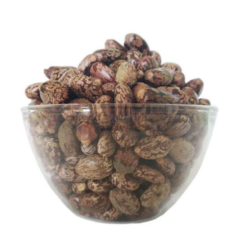 Aamanakku Vithai / Castor Seeds Aamanakku Vithai / Castor Seeds