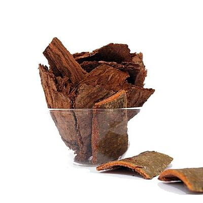 Arasam Pattai / Sacred Fig Bark