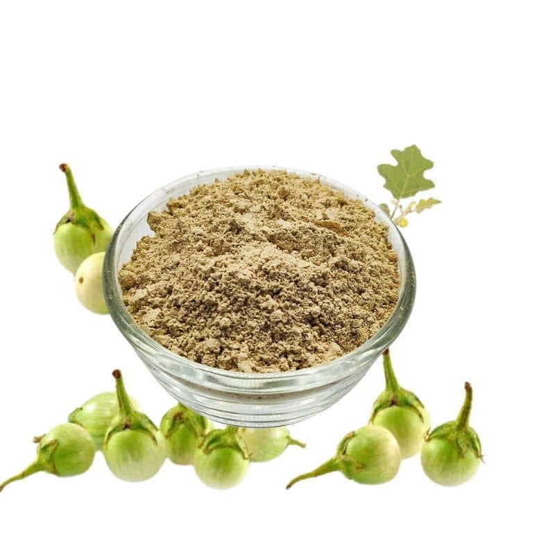 Kandan Kathiri / Yellow Fruit Nightshade Powder