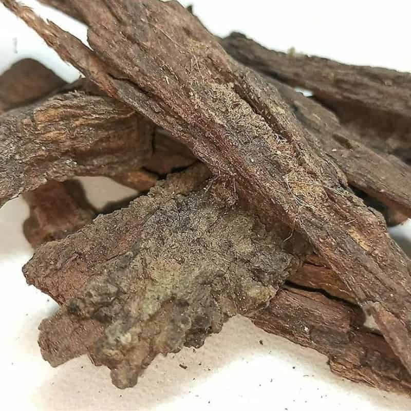 Karuvelam Pattai / Mesquite Bark (Raw)