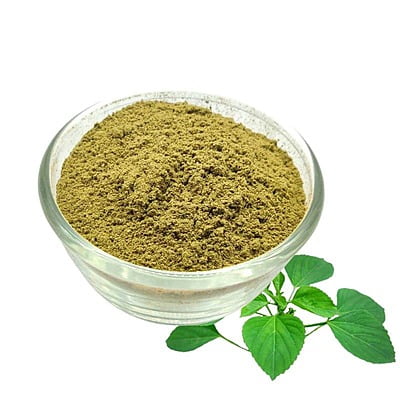 Kuppaimeni Podi / Indian Nettle Powder