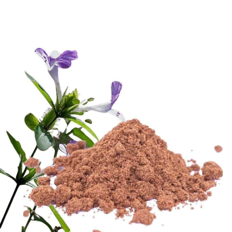 Neermulli Seed / Marsh Barbel Powder Neermulli Seed / Marsh Barbel Powder