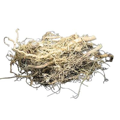 Peramutti Root
