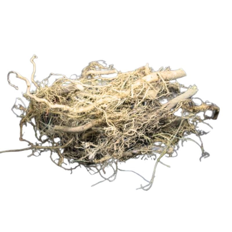Peramutti Root Peramutti Root