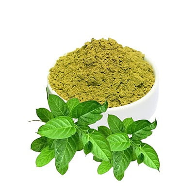 Sirukurinjan / Cowplant Powder